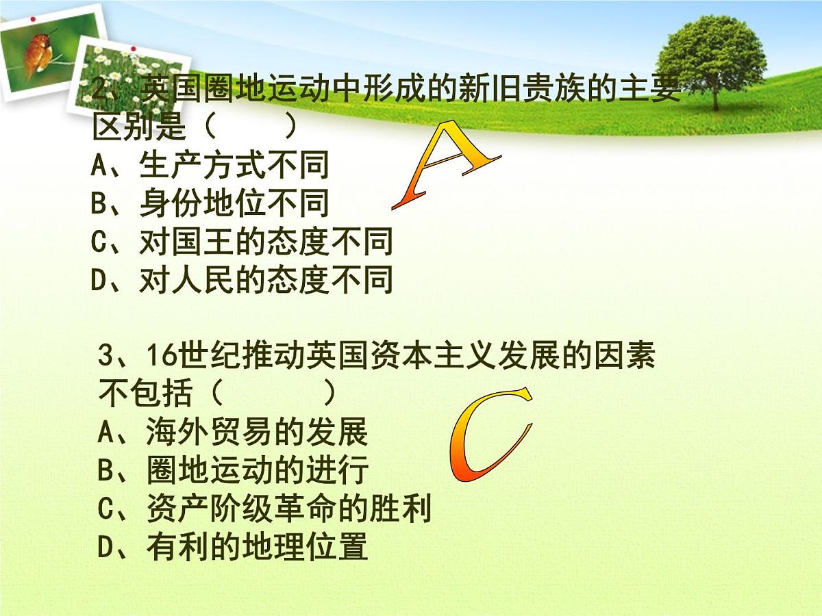 人教版 (新课标)高中历史选修2 2-1《英国议会与王权矛盾的激化》课件第5页