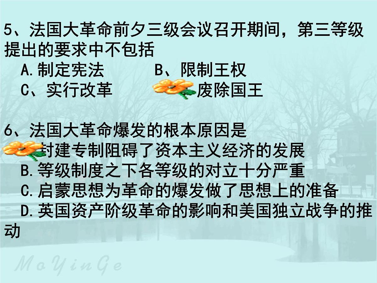 人教版 (新课标)高中历史选修2 3-2《法国《人权宣言》》课件第7页