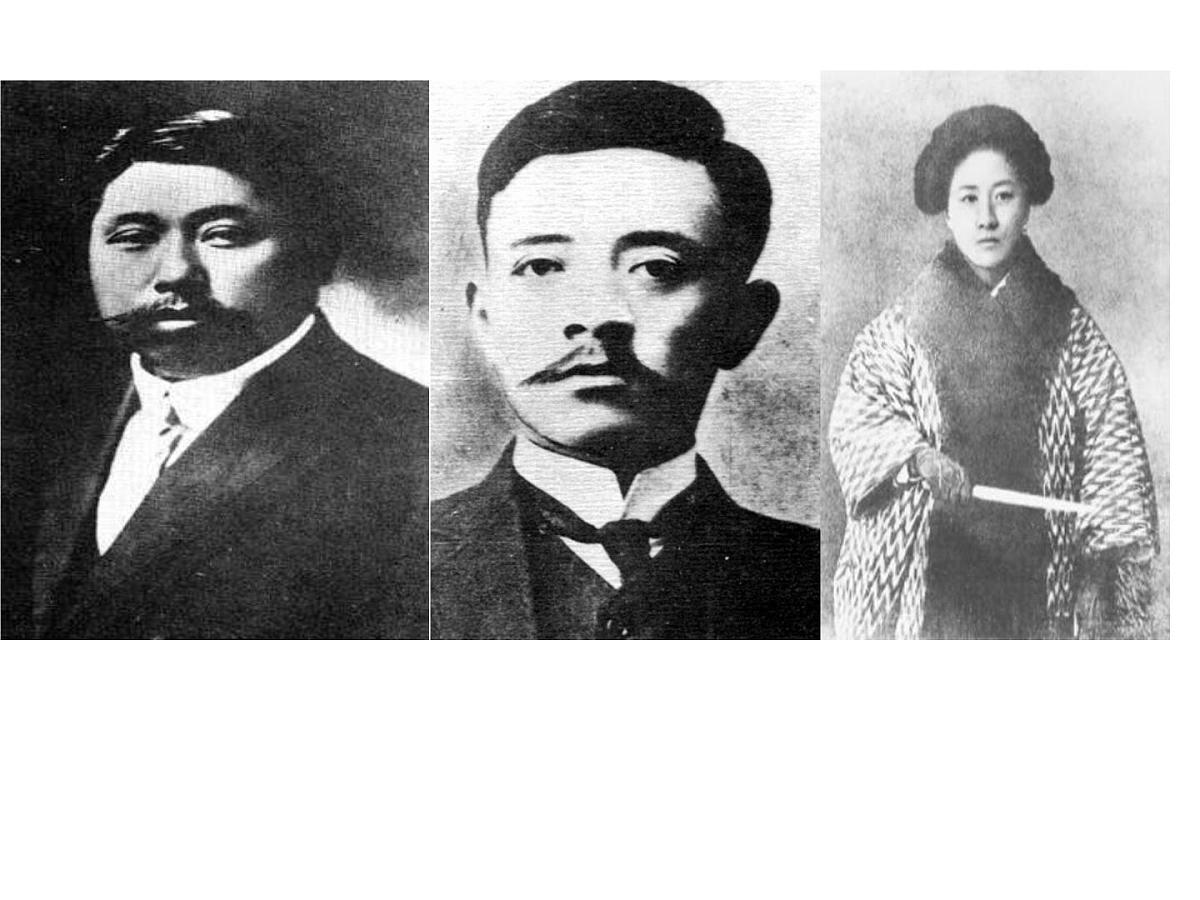 人教版 (新课标)高中历史选修2 6-3《资产阶级民主革命的酝酿和爆发》课件第3页