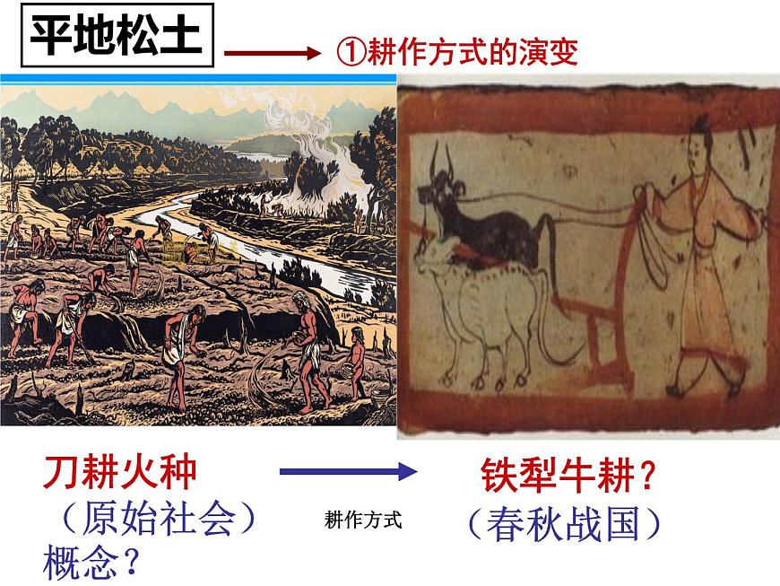 人民版高中历史必修2 1-1《古代中国的农业经济》课件第4页