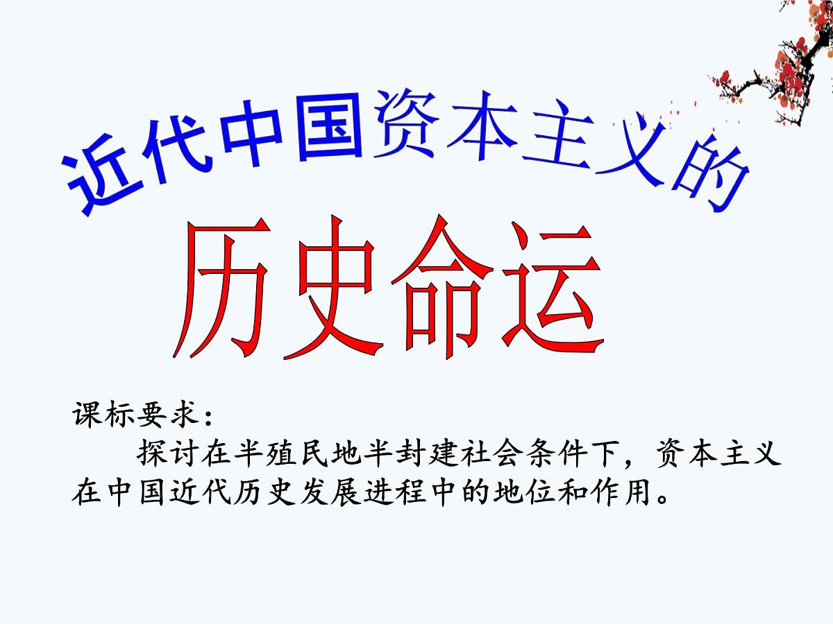 课件—人民版高中历史必修2 2-3《近代中国资本主义的历史命运》第3页