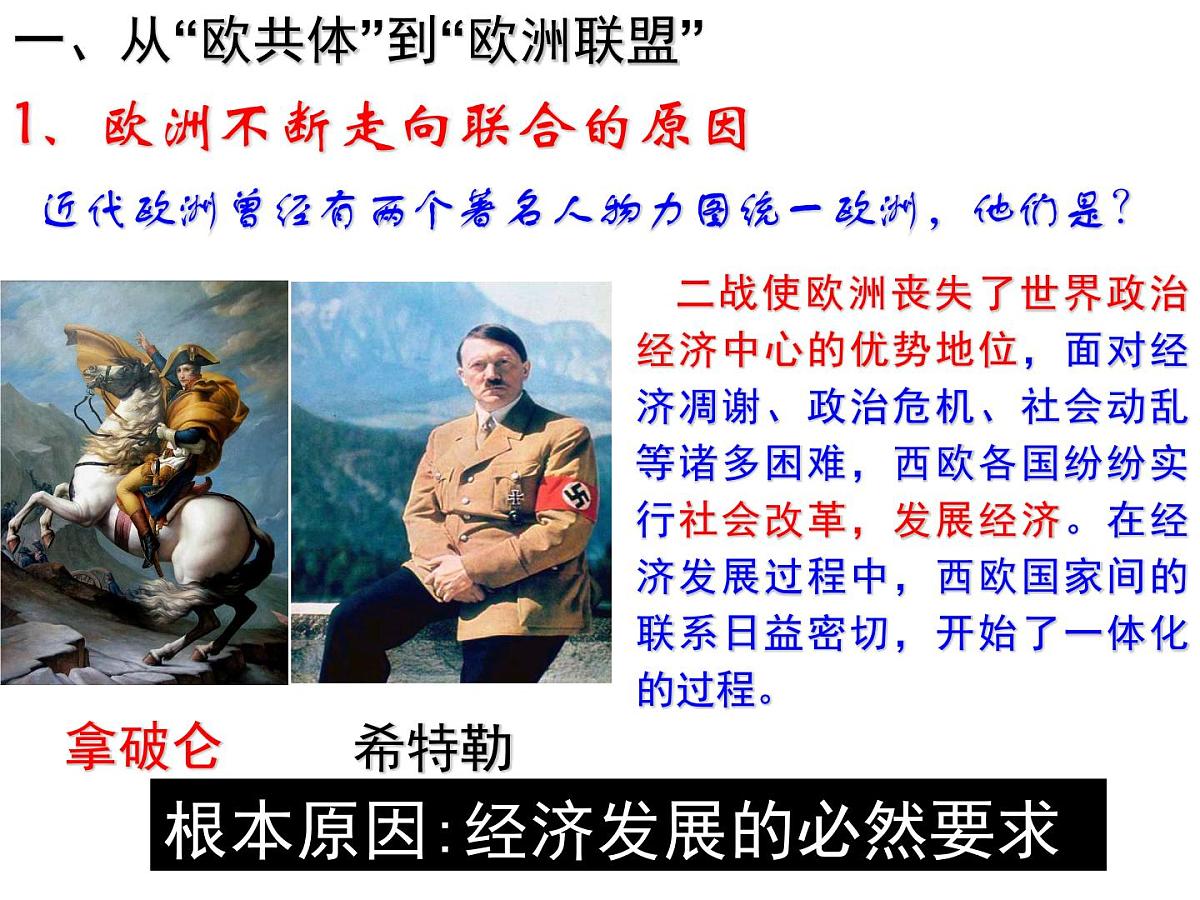 人民版高中历史必修2 8-2《当今世界经济区域集团化的发展》课件第6页