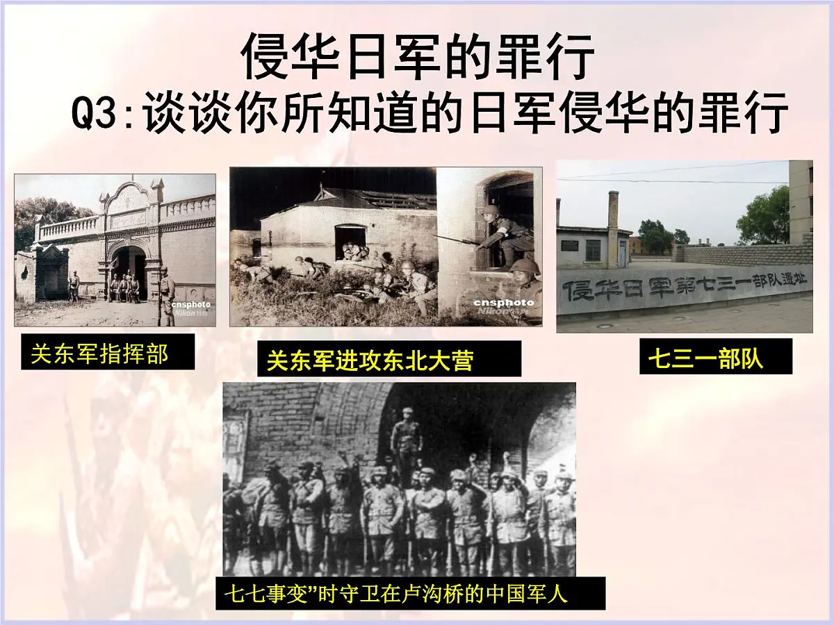 人民版高中历史必修1 2-3《伟大的抗日战争》课件第5页