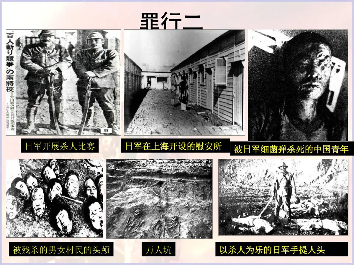 人民版高中历史必修1 2-3《伟大的抗日战争》课件第8页