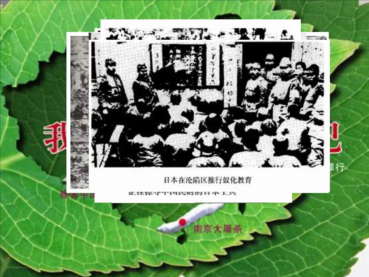 人民版高中历史必修1 2-3《伟大的抗日战争》课件第6页