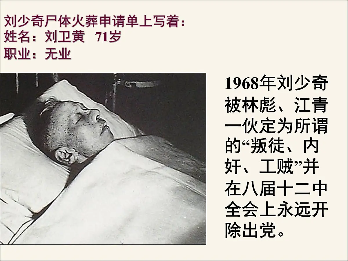 人民版高中历史必修1 4-2《政治建设的曲折历程及其历史性转折》课件第6页