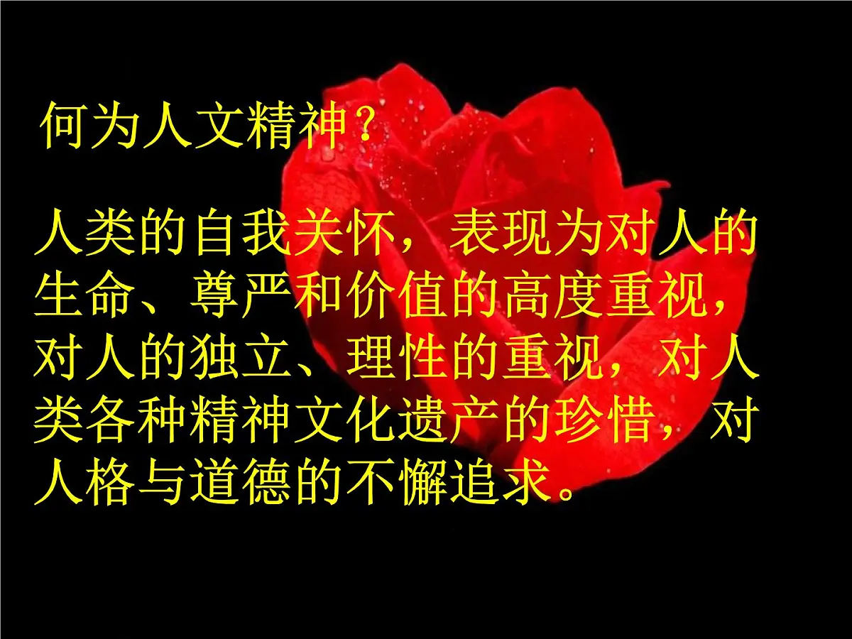 课件—人民版高中历史必修3 6-1《蒙昧中的觉醒》第2页