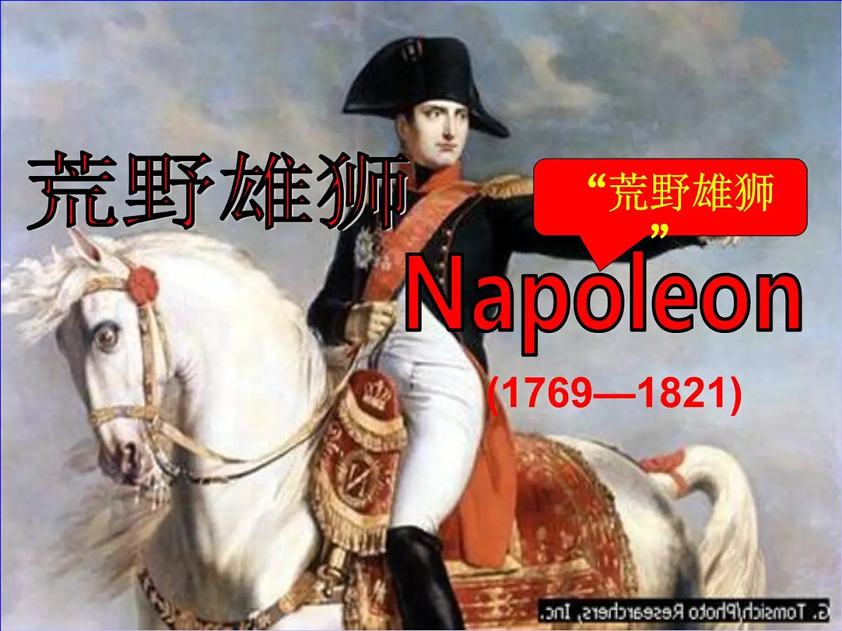 人民版高中历史选修4 3-4《“军事天才”拿破仑·波拿巴》课件第2页
