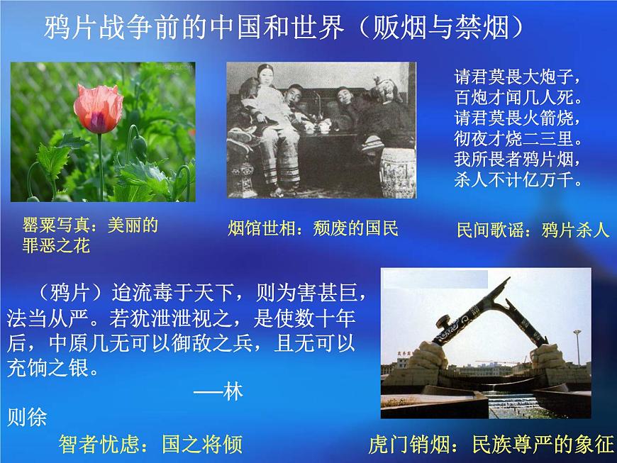 岳麓版高中历史必修1 4-12《鸦片战争》课件第8页