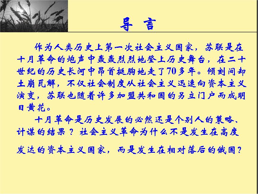 岳麓版高中历史必修1 5-19《俄国十月社会主义革命》课件第2页