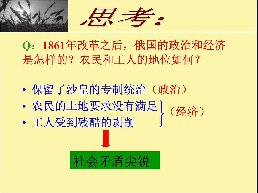 岳麓版高中历史必修1 5-19《俄国十月社会主义革命》课件第6页