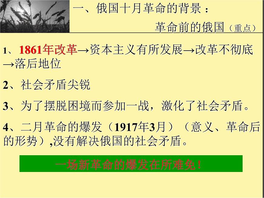 岳麓版高中历史必修1 5-19《俄国十月社会主义革命》课件第8页