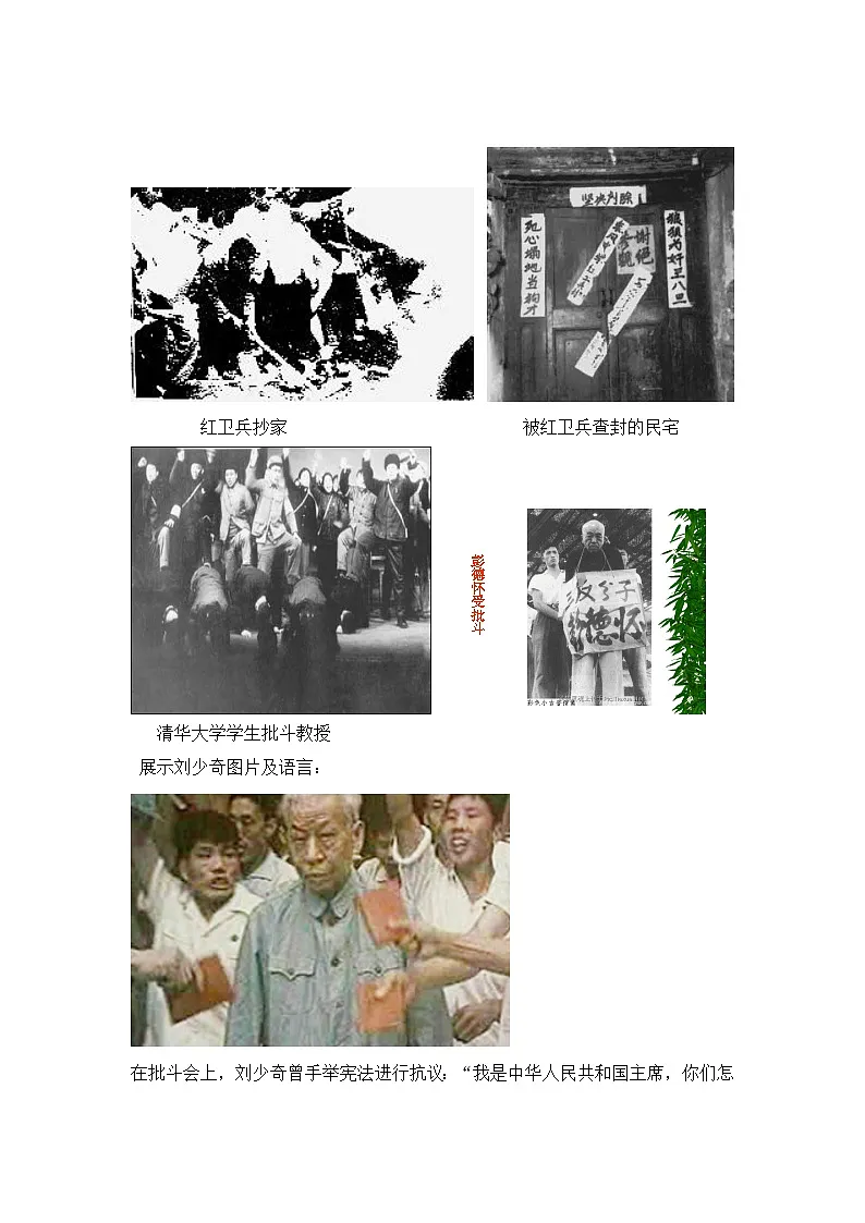 岳麓版高中历史必修1 6-22《社会主义政治建设的曲折发展》教案第3页