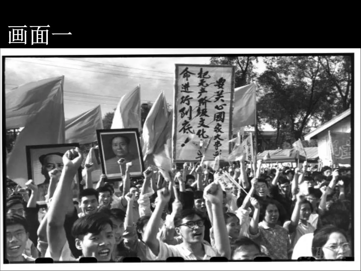 岳麓版高中历史必修1 6-22《社会主义政治建设的曲折发展》课件第2页