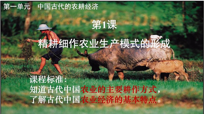 课件—岳麓版高中历史必修2 1-1《精耕细作农业生产模式的形成》第2页