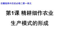 岳麓版必修2 经济成长历程精耕细作农业生产模式的形成集体备课课件ppt