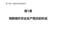 岳麓版必修2 经济成长历程精耕细作农业生产模式的形成课文配套课件ppt