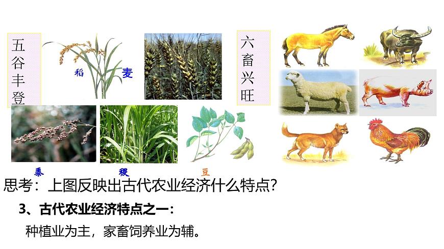 课件—岳麓版高中历史必修2 1-1《精耕细作农业生产模式的形成》第6页