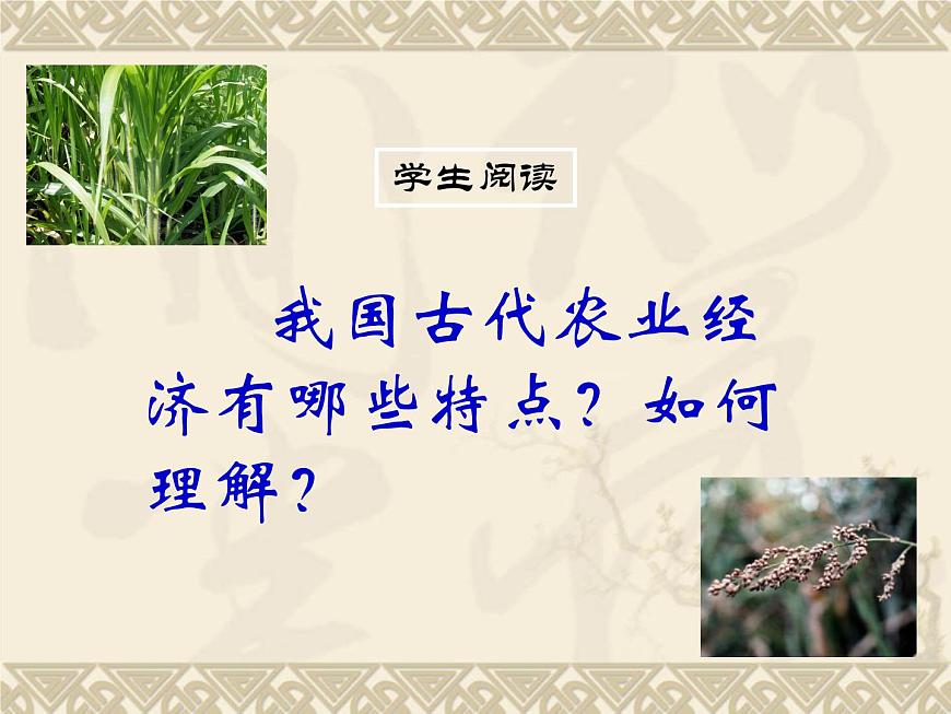 岳麓版高中历史必修2 1-1《精耕细作农业生产模式的形成》课件第5页