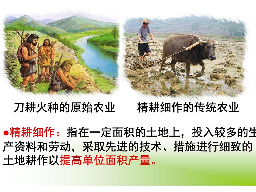 岳麓版高中历史必修2 1-1《精耕细作农业生产模式的形成》课件第2页
