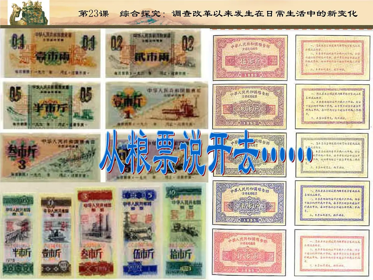 课件—岳麓版高中历史必修2 4-22《综合探究：调查改革以来发生在日常生活中的新变化》第5页