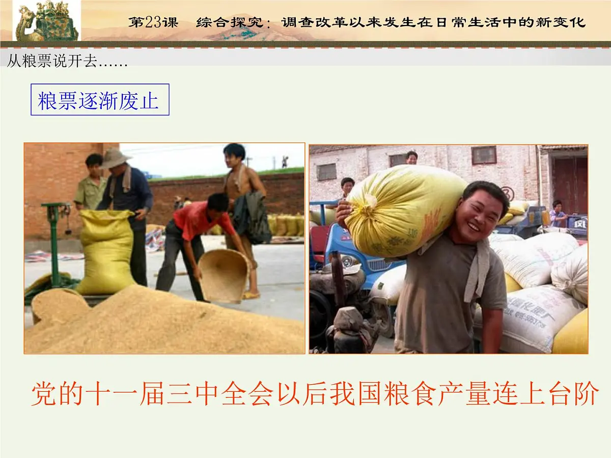 课件—岳麓版高中历史必修2 4-22《综合探究：调查改革以来发生在日常生活中的新变化》第7页
