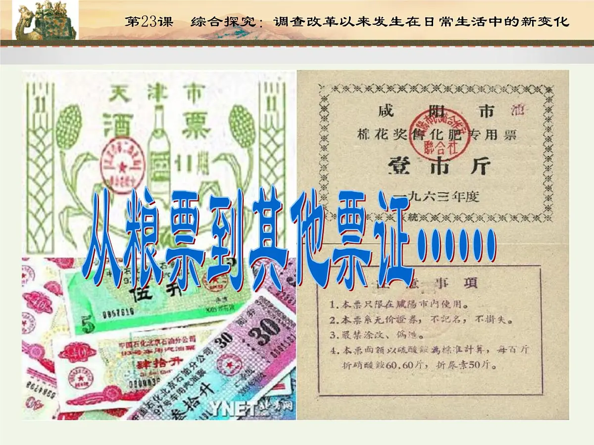 课件—岳麓版高中历史必修2 4-22《综合探究：调查改革以来发生在日常生活中的新变化》第8页