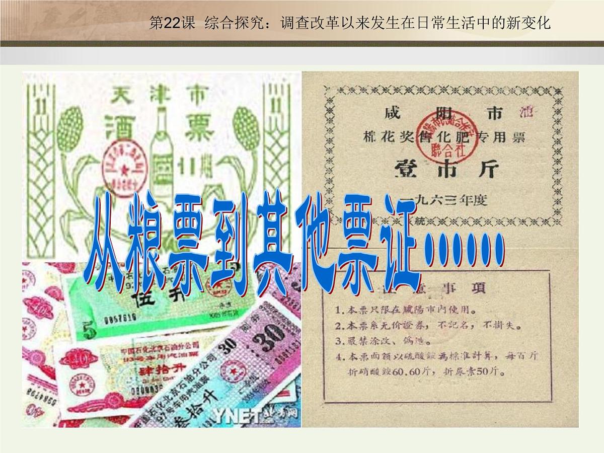 岳麓版高中历史必修2 4-22《综合探究：调查改革以来发生在日常生活中的新变化》课件第7页
