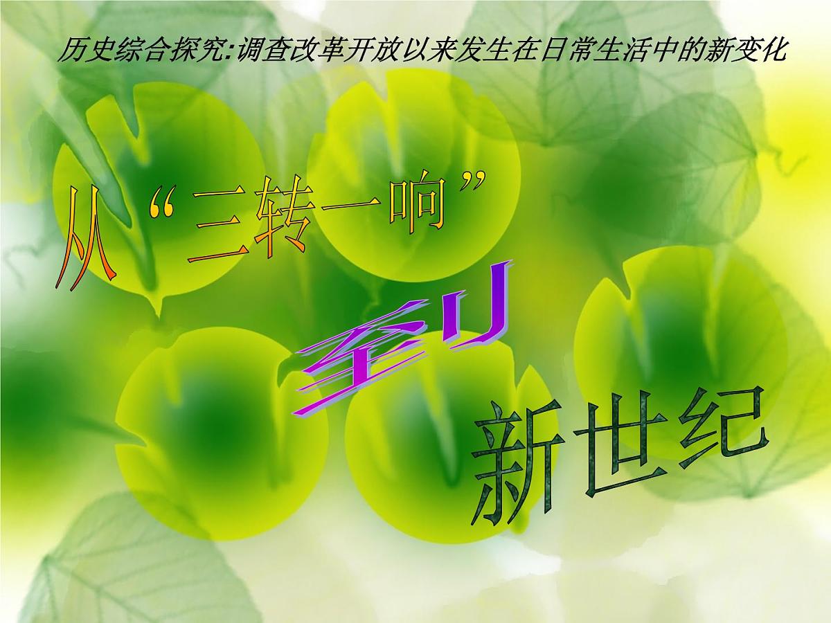 岳麓版高中历史必修2 《综合探究：调查改革以来发生在日常生活中的新变化》课件第1页