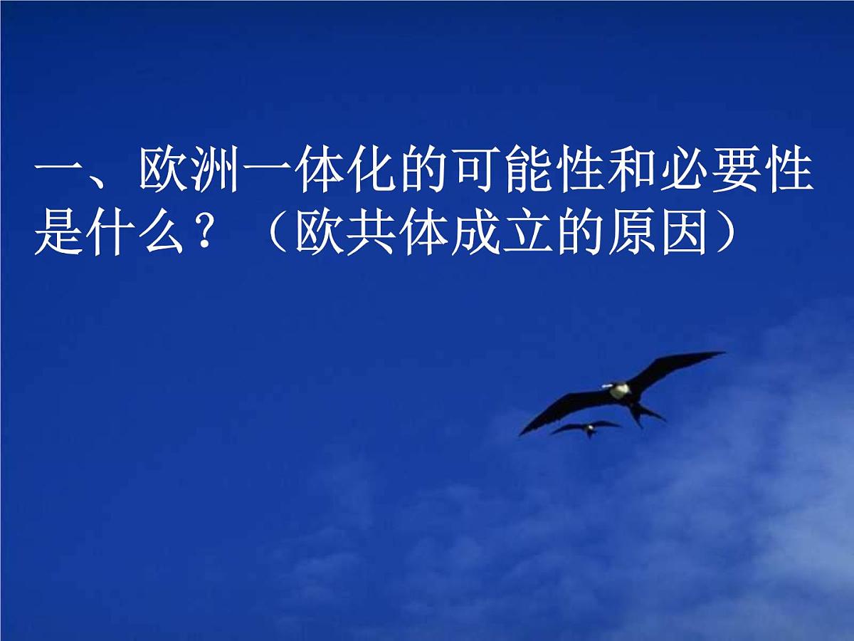 岳麓版高中历史必修2 5-24《欧洲的经济区域一体化》课件第4页
