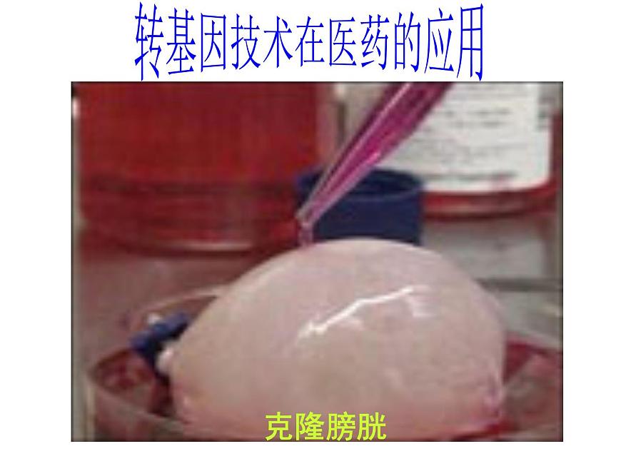 岳麓版高中历史必修3 6-26《改变世界的高新科技》课件第8页