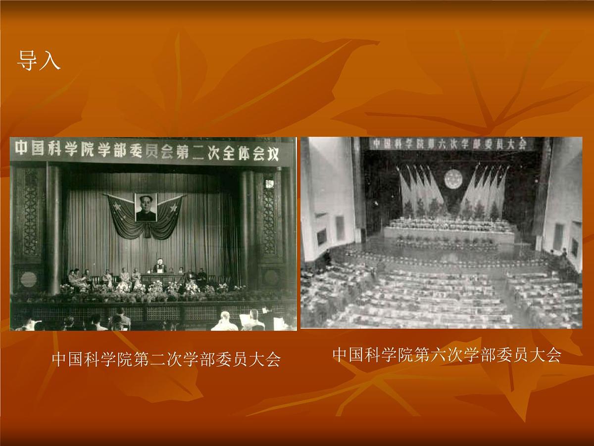 岳麓版高中历史必修3 6-27《新中国的科技成就》课件第4页