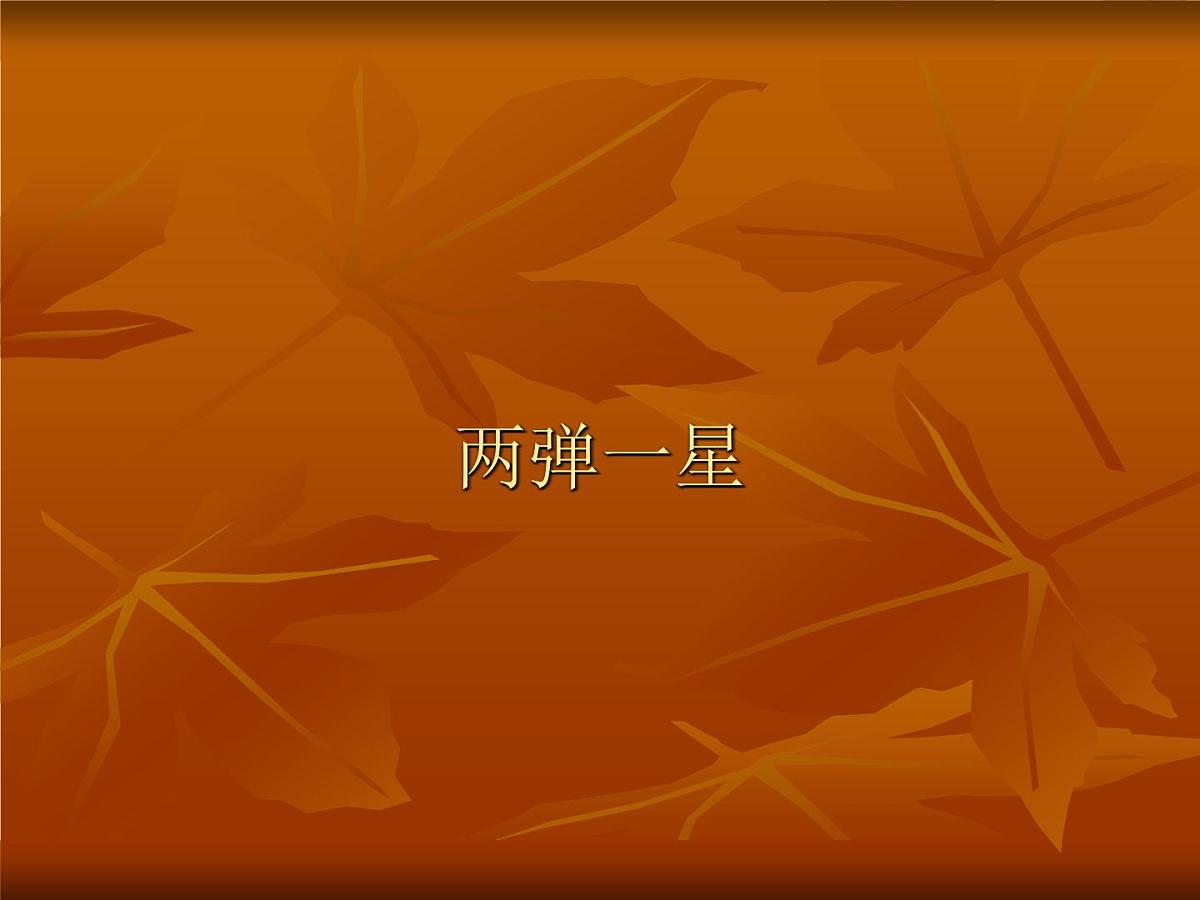 岳麓版高中历史必修3 6-27《新中国的科技成就》课件第6页