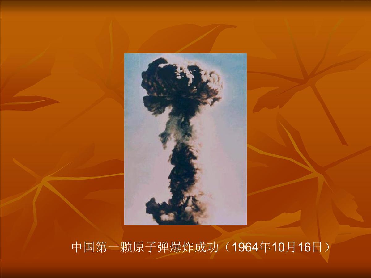 岳麓版高中历史必修3 6-27《新中国的科技成就》课件第8页