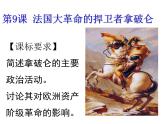 岳麓版高中历史选修4 2-9《法国大革命的捍卫者拿破仑》课件