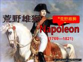 岳麓版高中历史选修4 2-9《法国大革命的捍卫者拿破仑》课件