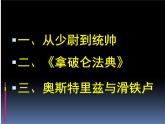 岳麓版高中历史选修4 2-9《法国大革命的捍卫者拿破仑》课件