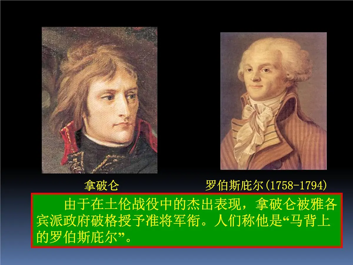 岳麓版高中历史选修4 2-9《法国大革命的捍卫者拿破仑》课件第5页