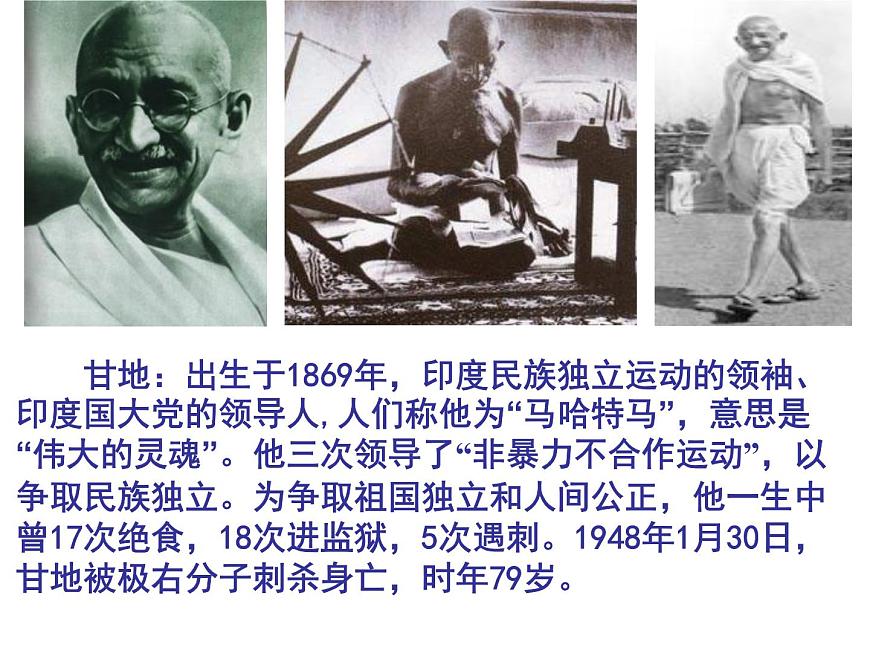 岳麓版高中历史选修4 3-11《圣雄甘地》课件第5页