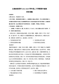 云南省普洱市2024-2025学年高二下学期期中统测历史试卷（解析版）