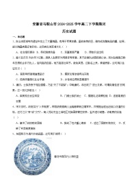 安徽省马鞍山市2024-2025学年高二下学期期末考试历史试题（Word版附答案）