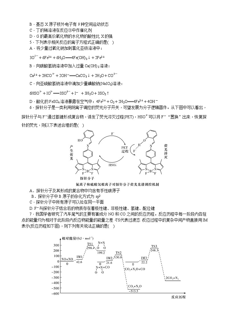 河北省衡水金卷先享题2025届高三一轮复习夯基卷（二）历史试卷+答案第2页