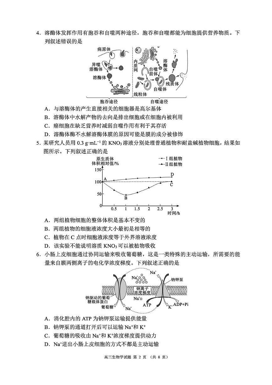 成都市蓉城名校联盟2025-2026学年高三上学期开学联考+生物试卷（含答案）第2页