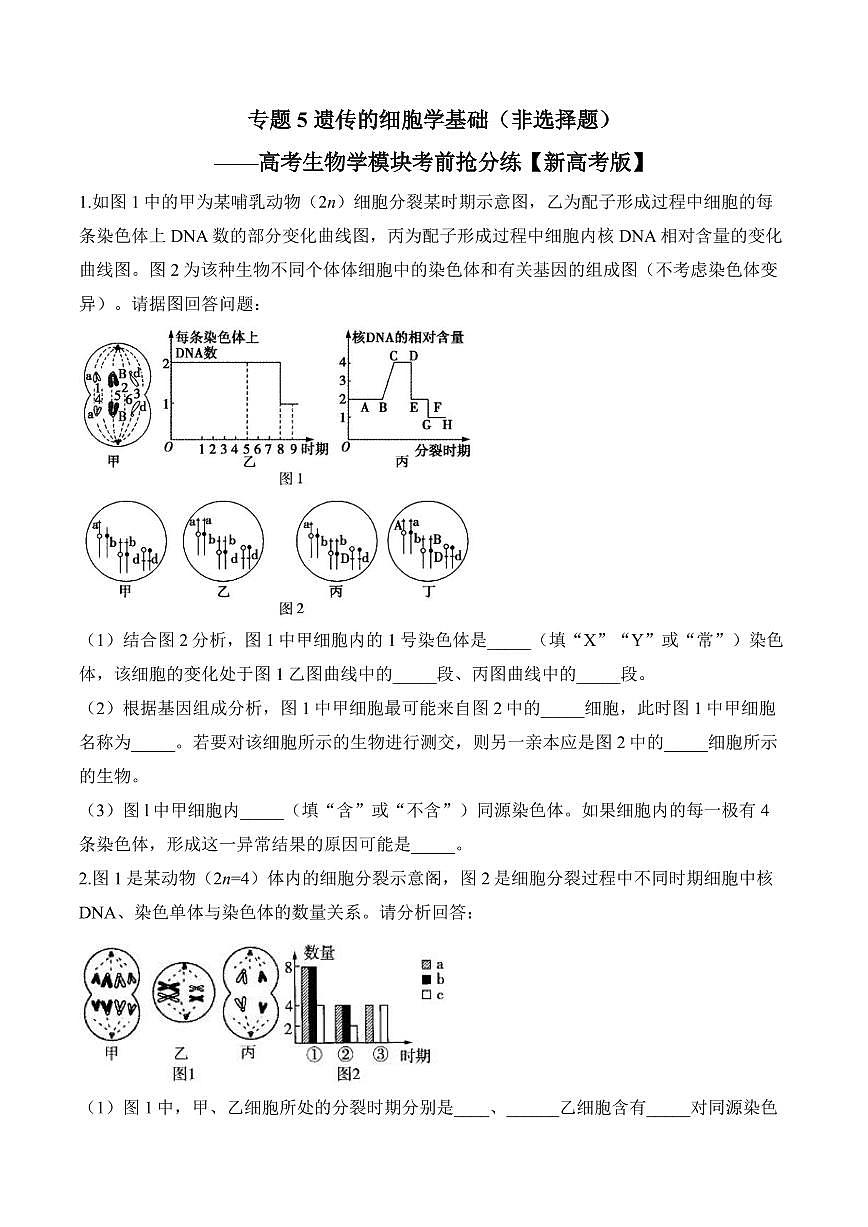 高考第一轮复习历史专题5 遗传的细胞学基础（非选择题）——高考生物学模块分练【新高考版】（含解析）第1页
