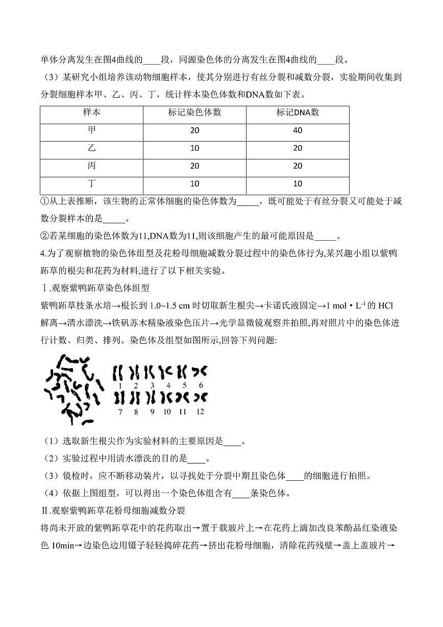 高考第一轮复习历史专题5 遗传的细胞学基础（非选择题）——高考生物学模块分练【新高考版】（含解析）第3页