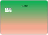 2019届二轮复习：世界史专题总结 【课件】（65张）