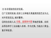 （新教材）统编版高中历史必修下册课件：2.5古代非洲与美洲