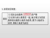 （新教材）统编版高中历史必修下册课件：2.3中古时期的欧洲