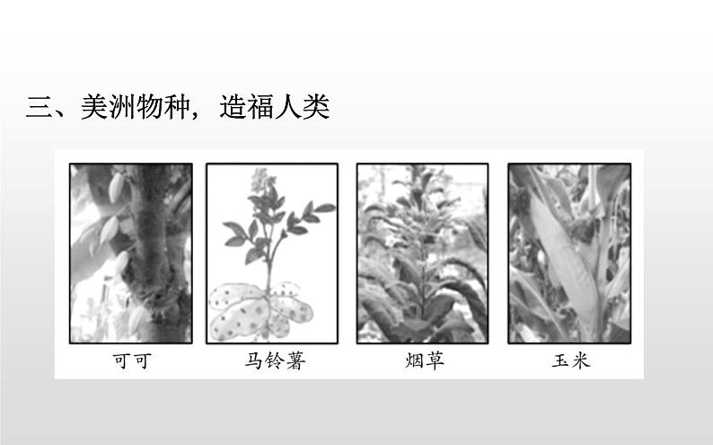 （新教材）统编版高中历史必修下册课件：第三单元　走向整体的世界06