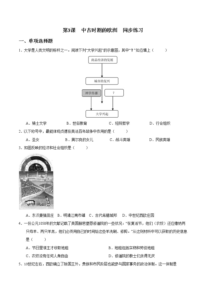 2019-2020学年部编版必修下册：第3课 中古时期的欧洲【作业】 (2) 练习01